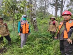 FORDAS Jatim Monitoring Tanaman Rehabilitasi Hutan Lindung Di Bondowoso